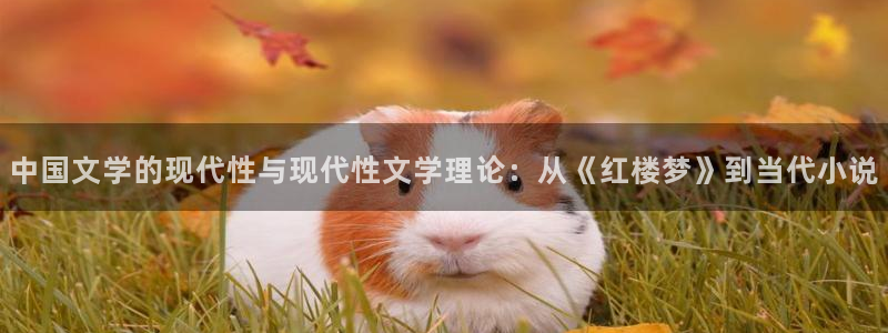 新牛眼看书