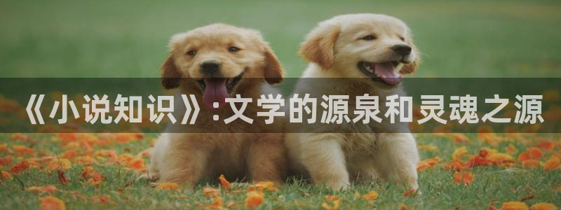 牛眼看书app
