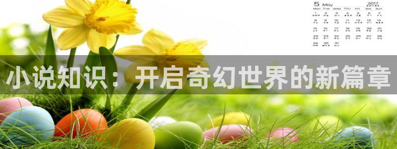 牛眼看书网韵母攻略