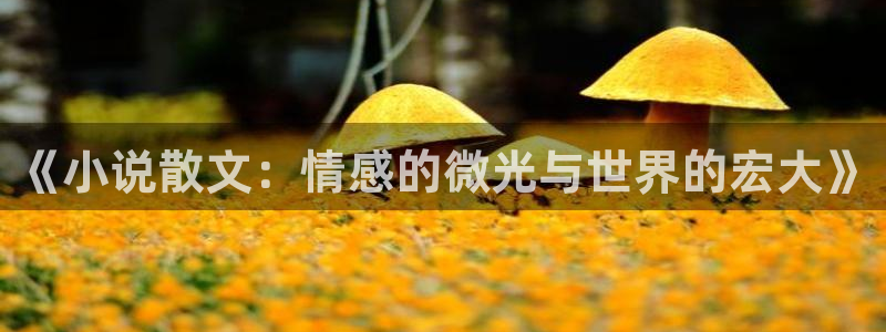 牛眼看书小说
