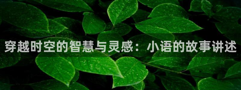 新牛眼看书