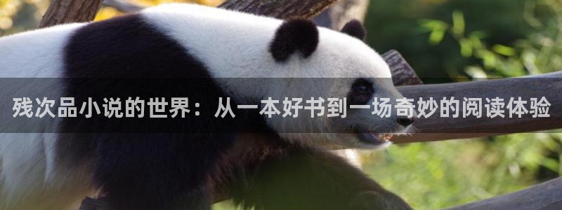 牛眼看书免费排行榜