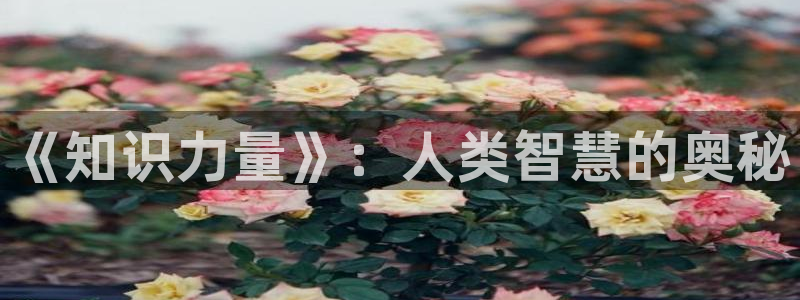 牛眼看书官网