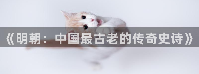 牛眼看书排行榜