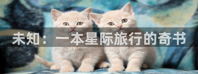 新牛眼看书