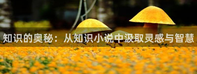 牛眼看书入口