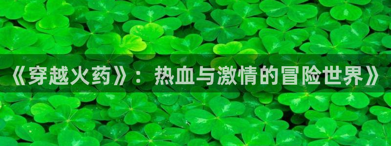 牛眼看书网韵母攻略