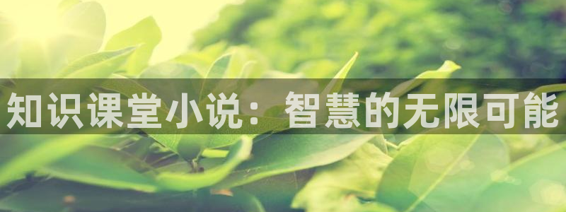 牛眼看书总排行