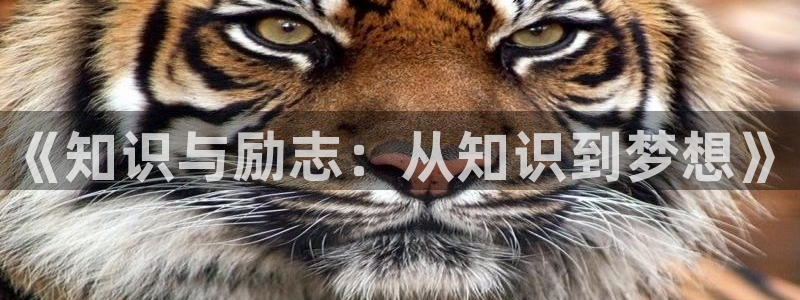 牛眼看书官网